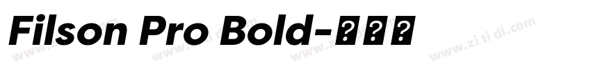 Filson Pro Bold字体转换